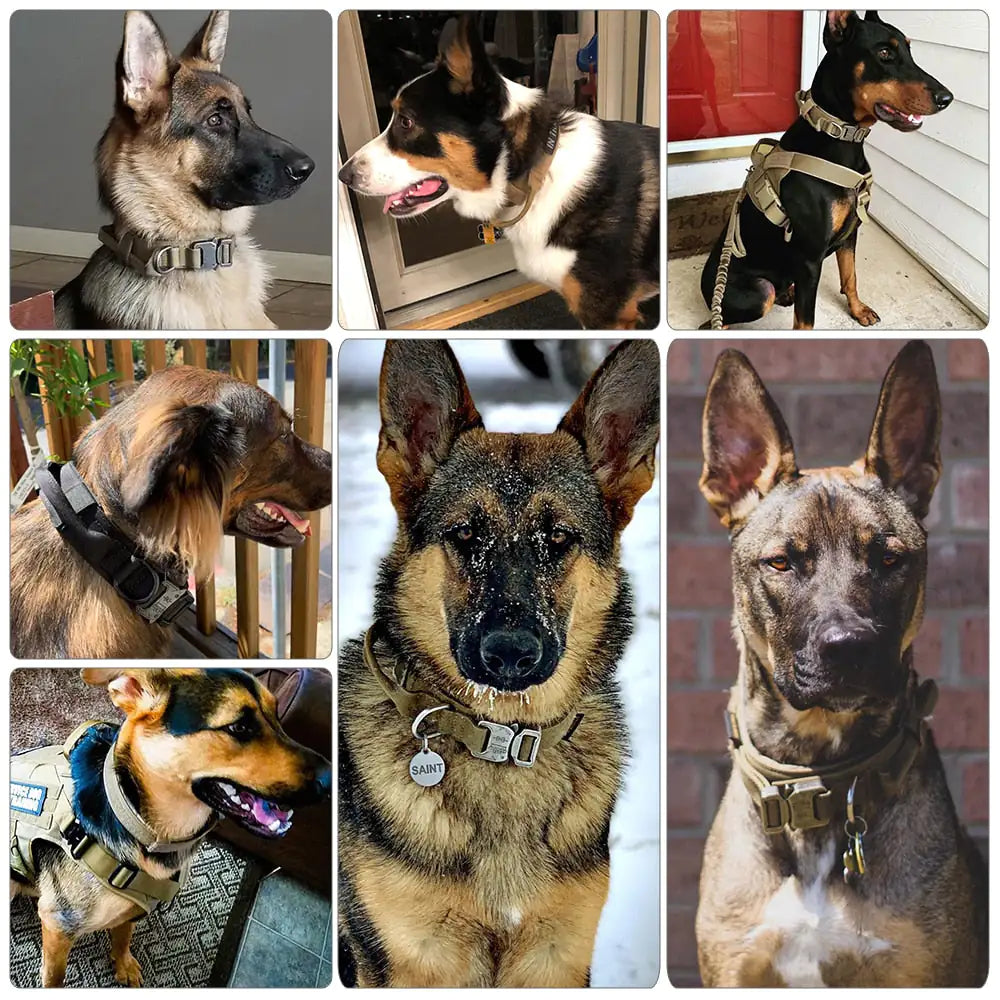 Adjustable Comfortable Dog Collar
