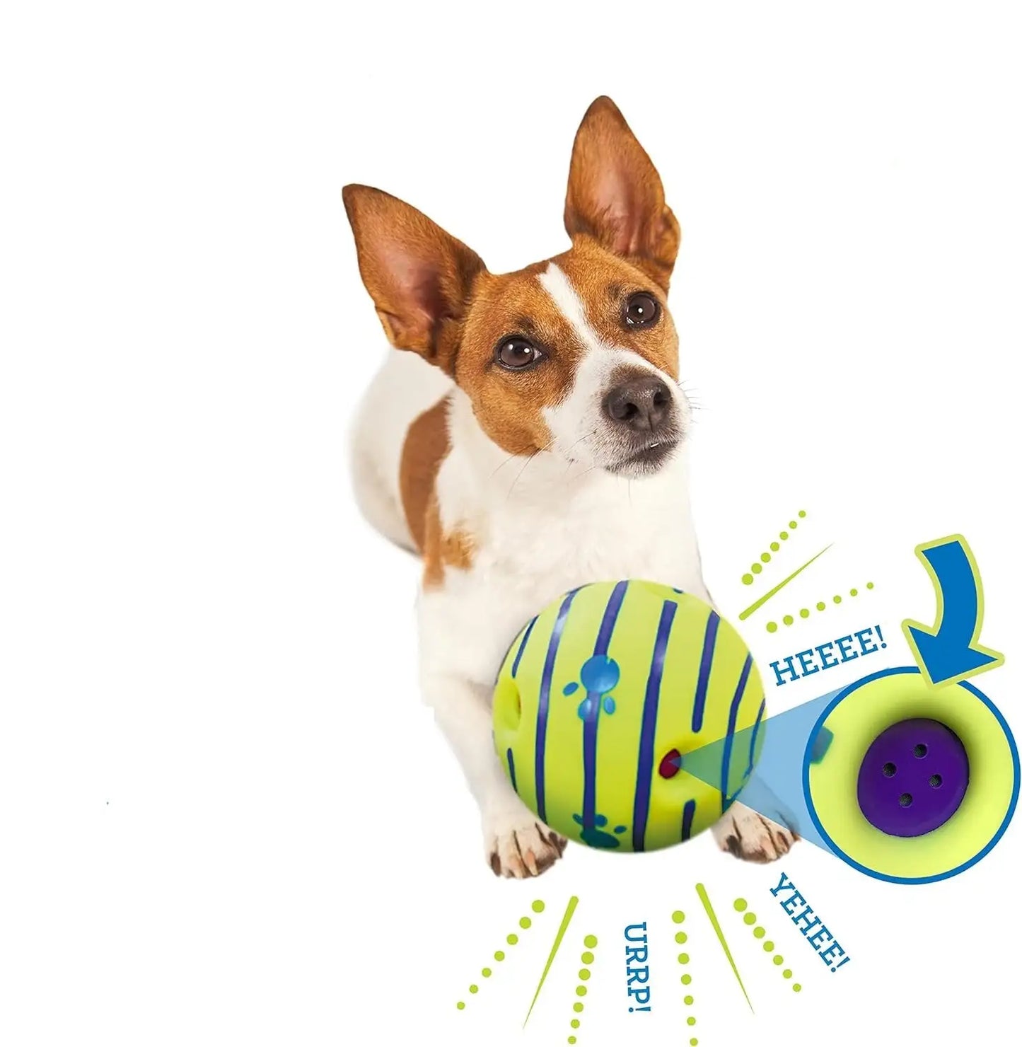 Wobble Wag Interactive Dog Toy