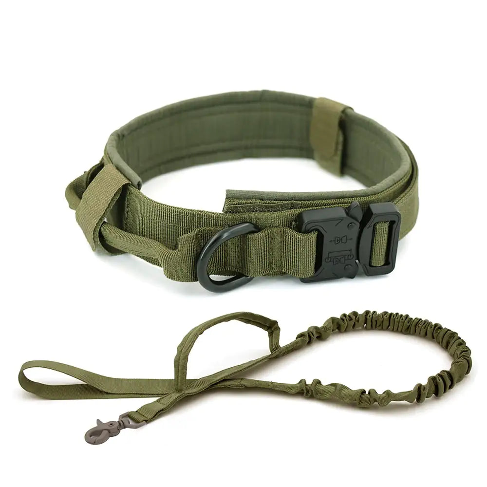 Adjustable Comfortable Dog Collar