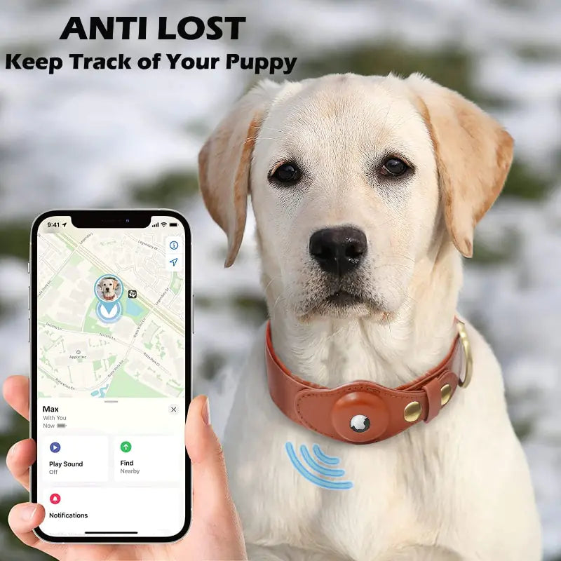 Premium Leather Anti-Lost Dog Collar