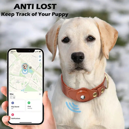 Premium Leather Anti-Lost Dog Collar