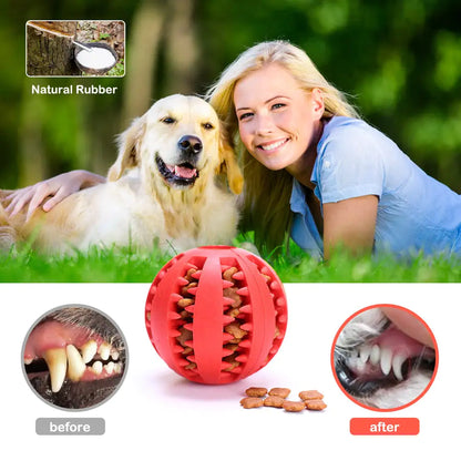Interactive Toy Balls for Dogs & Cats
