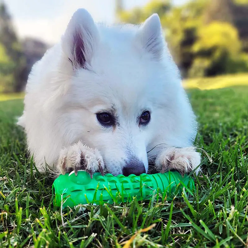 Crocodile Dental Chew Toy for Dogs