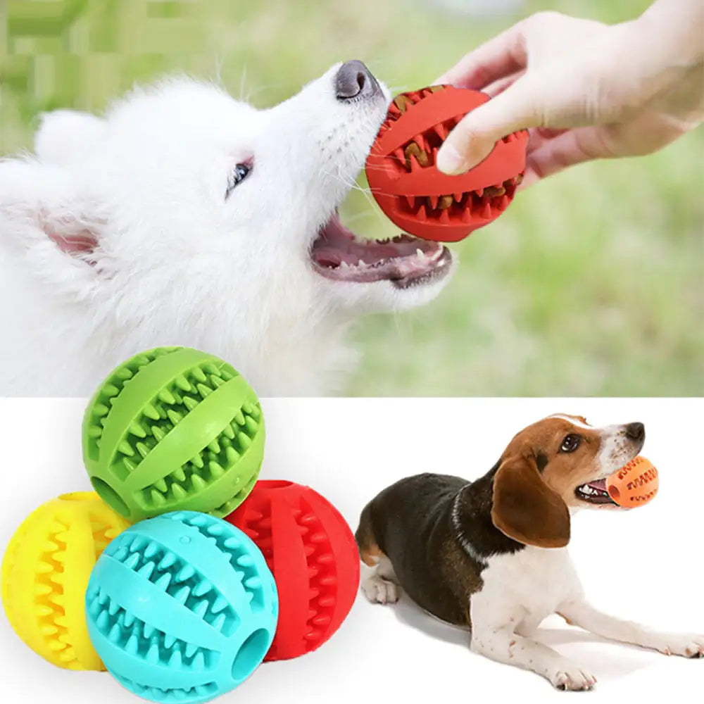 Interactive Toy Balls for Dogs & Cats