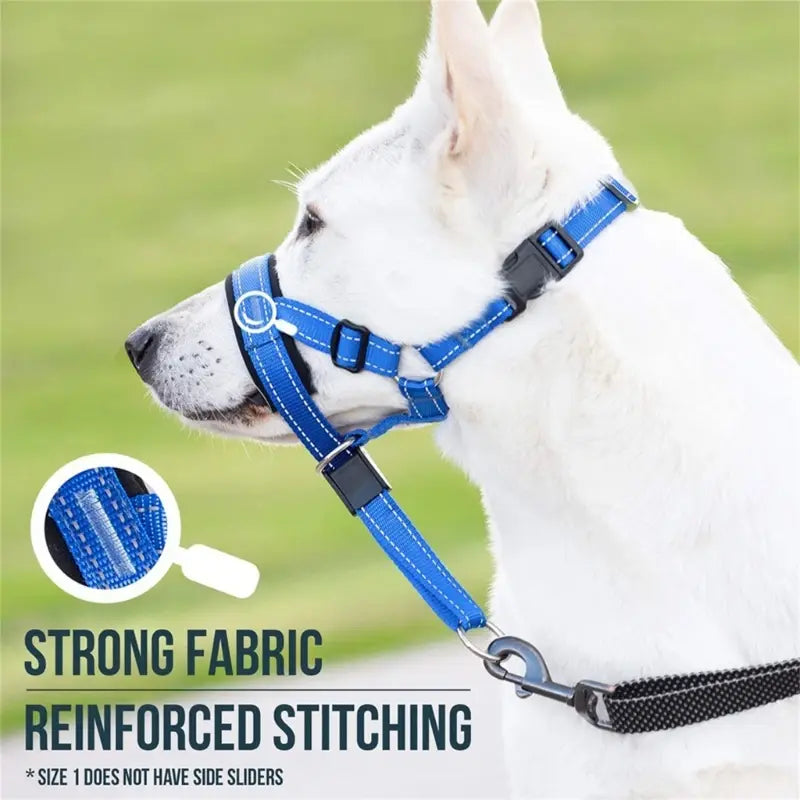 Adjustable Training Collar for Dogs