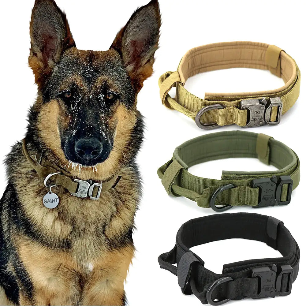 Adjustable dog collar for daily comfortable use