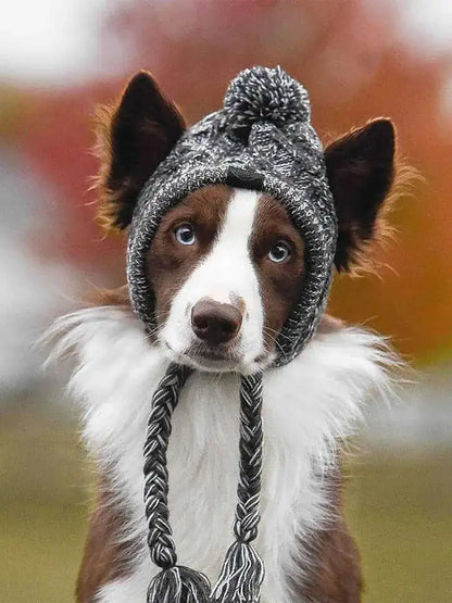 Adjustable dog cap for sun protection outdoors