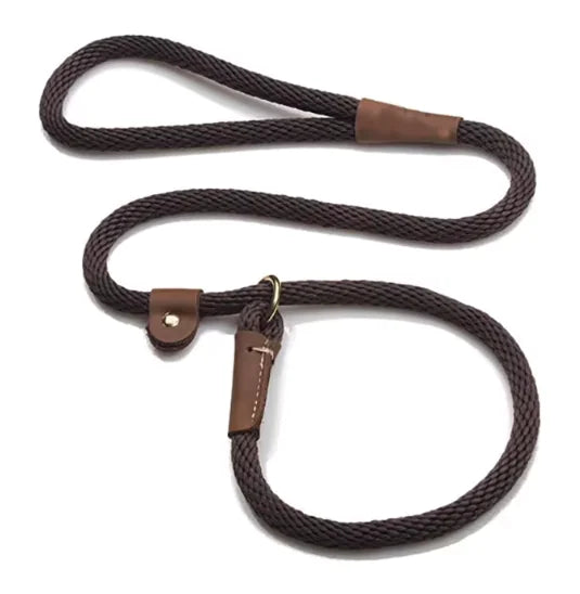 Adjustable dog lead leash for walking and training