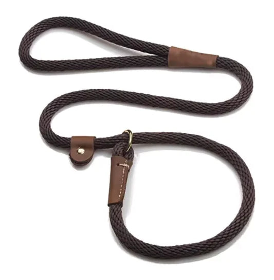 Adjustable dog lead leash for walking and training