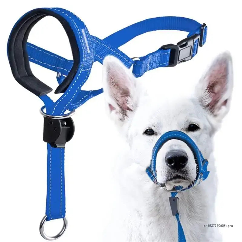 Adjustable training collar for dogs for safe daily training