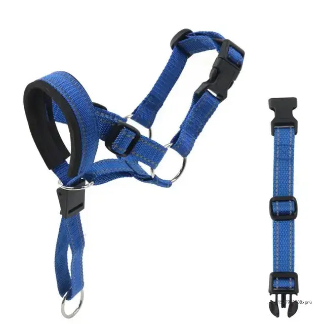 Adjustable Training Collar for Dogs