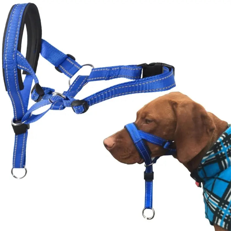 Adjustable Training Collar for Dogs
