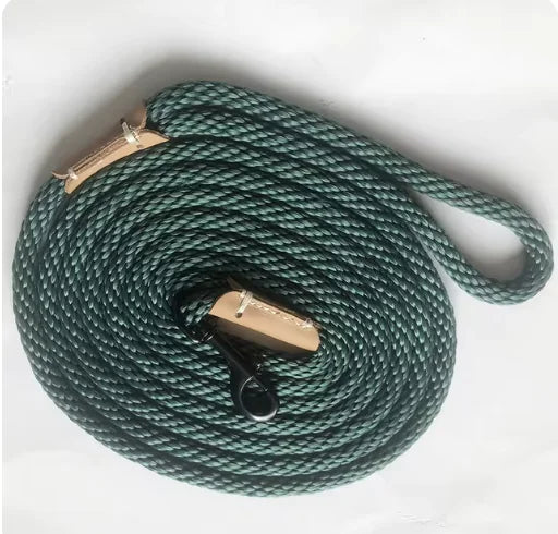 Adjustable Dog Lead Leash