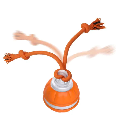 Rolling ball toy for dogs to encourage exercise