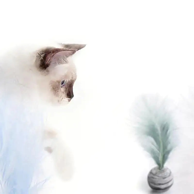 Interactive Feather Ball Cat Toy