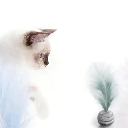 Interactive Feather Ball Cat Toy