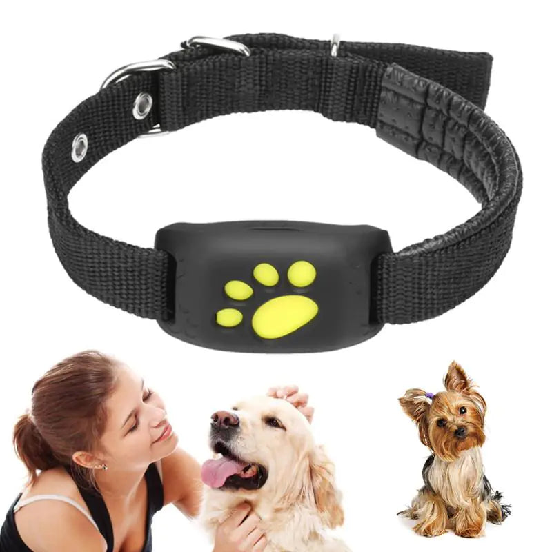 GPS tracker collar for pets real-time location tracking