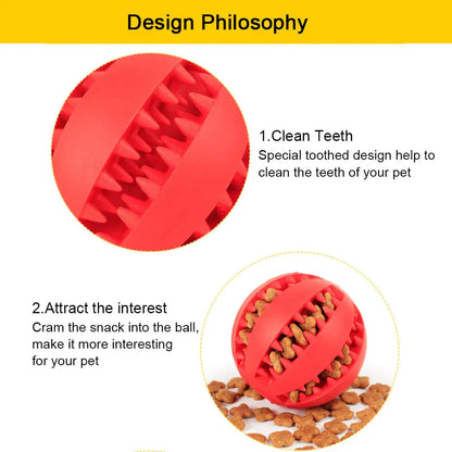 Interactive Toy Balls for Dogs & Cats